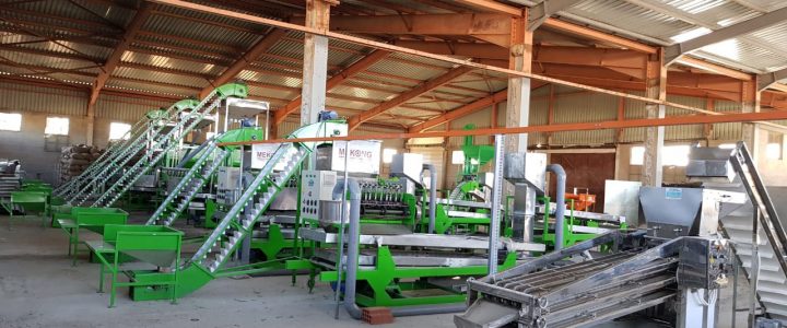 Automatic cashew processing plant mekong 3tpd